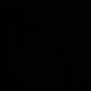 Meet your Posher, Daniela